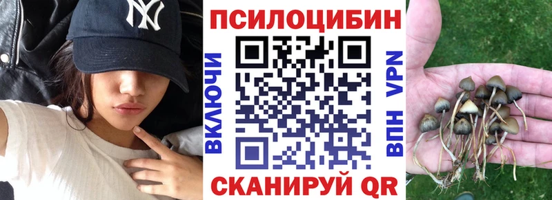 цена наркотик  Емва  Галлюциногенные грибы Psilocybine cubensis 